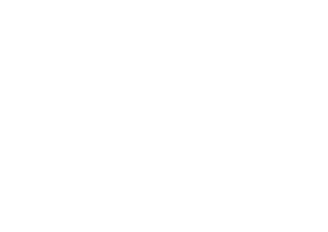StudentPro logo białe PION