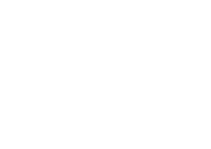 StudentPro logo białe POZIOM